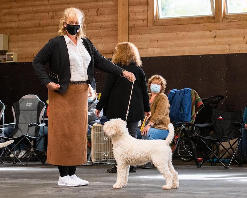00988 paco diva v.t wie dach ie