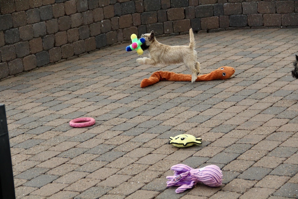 937 IMG 8827