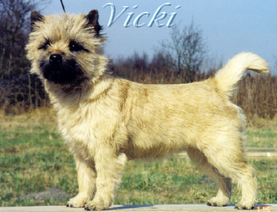 Vicki-2003
